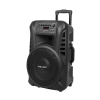 Kolumna aktywna ( z 2 mikrofonami bezprzewodowymi, SD, Bluetooth, USB) 12" 40W