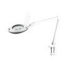 Lampa warsztatowa z lupą Rebel 5D 10W,6500 K