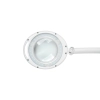 Lampa z lupą na stół 5D 6W  Rebel (30x2835 SMD)