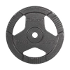 Obciążenie żeliwne zestaw 2x10kg, otwór 31mm, talerz z uchwytami, REBEL ACTIVE