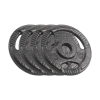 Obciążenie żeliwne zestaw 4x1.25kg, otwór 31mm, talerz z uchwytami, REBEL ACTIVE