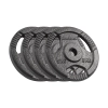 Obciążenie żeliwne zestaw 4x5kg, otwór 31mm, talerz z uchwytami, REBEL ACTIVE