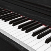 Pianino cyfrowe Kruger&Matz KMDP-155 , kolor czarny