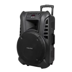 Aktywna kolumna głośnikowa (z 2 mikrofonami bezprzewodowymi UHF, SD, Bluetooth, FM, USB) 60 Watt Aktywna kolumna głośnikowa (z 2 mikrofonami bezprzewodowymi UHF, SD, Bluetooth, FM, USB) 60 Watt