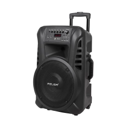 Kolumna aktywna ( z 2 mikrofonami bezprzewodowymi, SD, Bluetooth, USB) 12" 40W