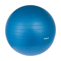 Piłka gimnastyczna rehabilitacyjna 55cm z pompką ręczną, kolor niebieski , REBEL ACTIVE Piłka gimnastyczna rehabilitacyjna 55cm z pompką ręczną, kolor niebieski , REBEL ACTIVE