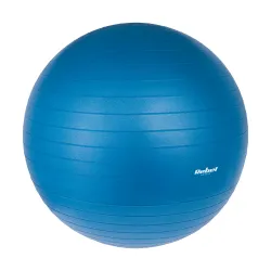Piłka gimnastyczna rehabilitacyjna 65cm z pompką ręczną, kolor niebieski , REBEL ACTIVE Piłka gimnastyczna rehabilitacyjna 65cm z pompką ręczną, kolor niebieski , REBEL ACTIVE
