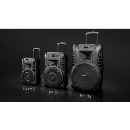 Aktywna kolumna głośnikowa (z 2 mikrofonami bezprzewodowymi UHF, SD, Bluetooth, FM, USB) 60 Watt