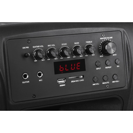 Kolumna aktywna ( z 2 mikrofonami bezprzewodowymi, SD, Bluetooth, USB) 12