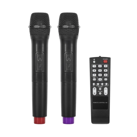 Kolumna aktywna ( z 2 mikrofonami bezprzewodowymi, SD, Bluetooth, USB) 12