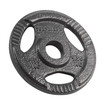 Obciążenie żeliwne zestaw 4x1.25kg, otwór 31mm, talerz z uchwytami, REBEL ACTIVE