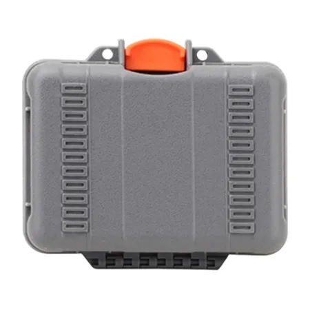 Etui transportowe SUNNYLIFE AQX-18 do Osmo Action 5 Pro/4/3