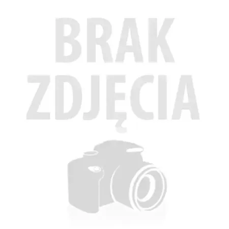 EcoFlow Torba dla Delty 2 Max